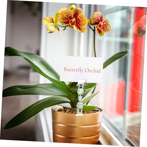TEHAUX 20 Stück Teiliges Transparente Doppelseitige Clips mit Dualem Kopf Mini Etikettenhalter für Schilder und Preisschilder Vielseitig Einsetzbar für Einzelhandel Tischaufsteller und TEHAUX 20 Stück Teiliges Transparente Doppelseitige Clips mit Dualem Kopf Mini Etikettenhalter für Schilder und Preisschilder Vielseitig Einsetzbar für Einzelhandel Tischaufsteller und von TEHAUX