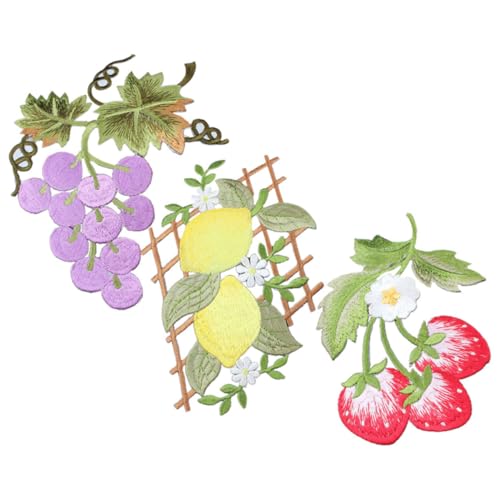 TEHAUX 3 Stück Obst-Stickerei-Patch Tuch Aufnäher für Kleidungsapplikationen aufnäher für jacke aufbügler für jacken Applikationen zum Nähen von Kleidern Kleidung Patches Dekoration Stoff von TEHAUX