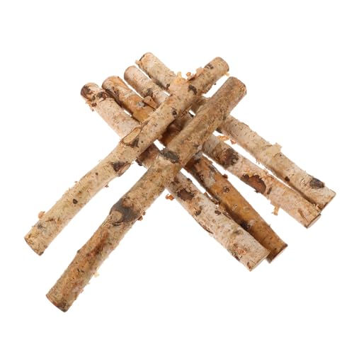 TEHAUX 6 Stücke Birkenscheite Für Natürliche Holz Sticks Dekorative Zweige Handwerk Zubehör von TEHAUX