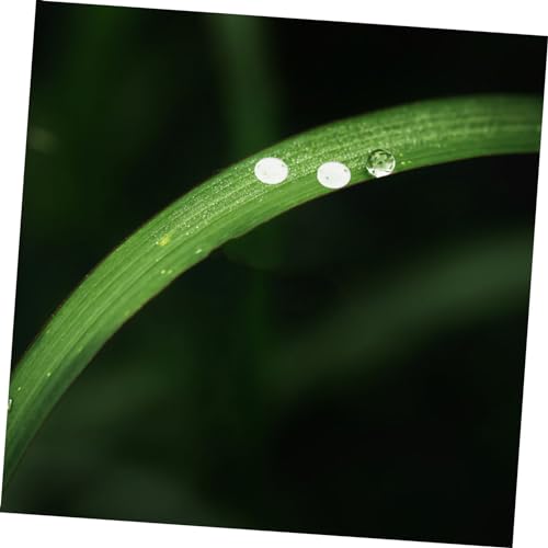 TEHAUX 700 Stück Transparente Harz DIY Perlen für Kopfband Basteln Scrapbooking Nageldesign Telefonhüllen Pflanzen Dekoration Langlebige Vielseitige Verzierungen TEHAUX 700 Stück Transparente Harz DIY Perlen für Kopfband Basteln Scrapbooking Nageldesign Telefonhüllen Pflanzen Dekoration Langlebige Vielseitige Verzierungen von TEHAUX