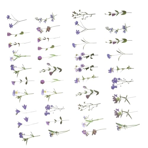 TEHAUX 80 Blatt Blumenaufkleber mit Pet Aufklebern Dekorative Blumensticker für Scrapbooking Journals Notizbücher und DIY Projekte Leicht Abziehbar und Rückstandsfrei für Kreative von TEHAUX