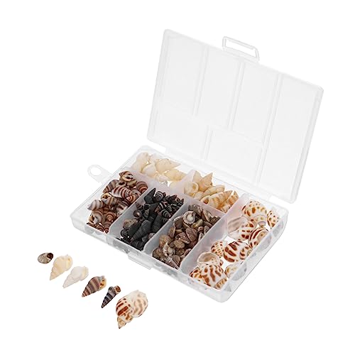 TEHAUX Natürliche Muschelschalen Für Aquarien Gemischte Conchenschalen Fischtankdekorationen Für Romantische Unterwasserwelten Langlebiges Sicheres Material Für DIY Projekte TEHAUX Natürliche Muschelschalen Für Aquarien Gemischte Conchenschalen Fischtankdekorationen Für Romantische Unterwasserwelten Langlebiges Sicheres Material Für DIY Projekte von TEHAUX