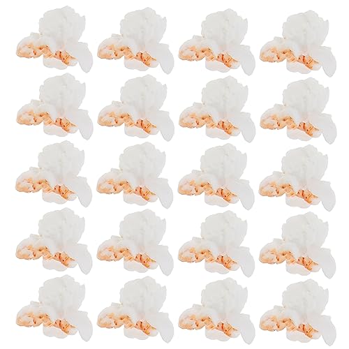 TEHAUX Popcorn- Aus Kunstharz 20 Stück Zubehör Für Bastelarbeiten Ornamente Handyhüllen Dekoration Schmuckanhänger TEHAUX Popcorn- Aus Kunstharz 20 Stück Zubehör Für Bastelarbeiten Ornamente Handyhüllen Dekoration Schmuckanhänger von TEHAUX