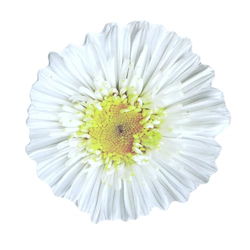 25 Blatt Haftnotizen, selbstklebend, Blumenform, abnehmbare Notizblöcke, Notizblöcke, Blumen, Haftnotizen von TENYELE