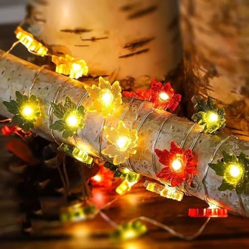 TETSMG Ahornblatt Lichterkette Herbst, 2M 20 LED Herbstdeko Lichterketten Batterie, Herbst Lichterkette Pumpkin Licht, LED Kürbis Deko für Herbst Thanksgiving Party Dekoration von TETSMG