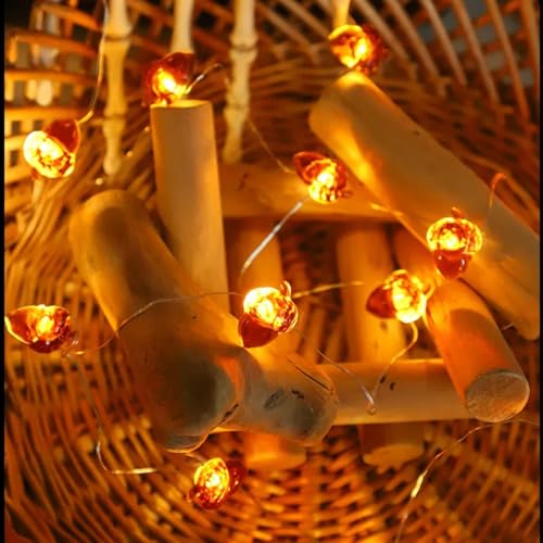 TETSMG Eicheln Lichterkette Herbst, 2M 20 LED Herbst Lichterkette Batterie, Herbstdeko Innen Eichel Lichterketten, LED Dekoratives Licht für Erntedankfest Party Dekoration von TETSMG