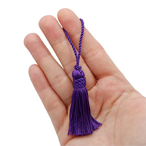 TEXTEX = Cuquillo Quaste Mit Auf Dem Kopf Gebunden. 5 cm Lang. 100% Viskose. Beutel mit 5 Einheiten - (Lila) von TEXTEX