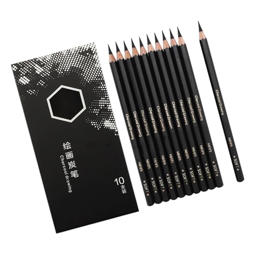 10pieces Professionelle Holzkohlestifte Zeichnen Set Holzskizze Bleistift Für Künstler Anfänger Zeichnungen Skizzierungen Schattierung Holzkunststifte 10pieces Professionelle Holzkohlestifte Zeichnen Set Holzskizze Bleistift Für Künstler Anfänger Zeichnungen Skizzierungen Schattierung Holzkunststifte von THINCAN
