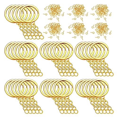 250 PCS Schlüsselbundringe Für Handwerkshandwerk Umfassen Schlüsselringe Mit Kettensprungringen Schraubenstifte Für Schlüsselbund Machen CRAF 250 PCS Schlüsselbundringe Für Handwerkshandwerk Umfassen Schlüsselringe Mit Kettensprungringen Schraubenstifte Für Schlüsselbund Machen CRAF von THINCAN