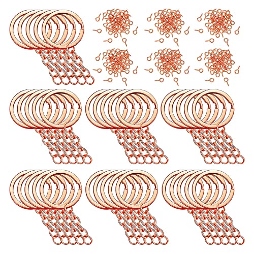 250 PCS Schlüsselbundringe Für Handwerkshandwerk Umfassen Schlüsselringe Mit Kettensprungringen Schraubenstifte Für Schlüsselbund Machen CRAF 250 PCS Schlüsselbundringe Für Handwerkshandwerk Umfassen Schlüsselringe Mit Kettensprungringen Schraubenstifte Für Schlüsselbund Machen CRAF von THINCAN