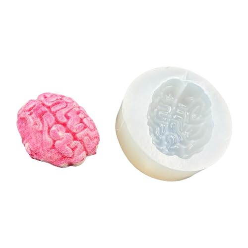 Weiche Flexible Silikonhirn/Organform Einfach Demolding Wiederverwendbar Für Handwerk Von Handgefertigtem Bildungsanatomie Formspiegel Finish Silikonhandwerk von THINCAN