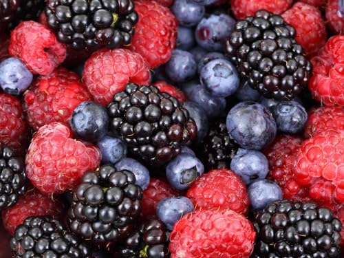 THISIT DIY Handgemalt Ölgemälde Kits auf Leinwand Geschenk,Himbeeren, Brombeeren, Blaubeeren-16 x 20 Zoll Rahmenlos THISIT DIY Handgemalt Ölgemälde Kits auf Leinwand Geschenk,Himbeeren, Brombeeren, Blaubeeren-16 x 20 Zoll Rahmenlos von THISIT