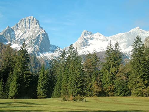 THISIT Malen nach Zahlen für Erwachsene Kinder Anfänger,Berge,Alpen,Bäume-40 * 50cm Rahmenlos THISIT Malen nach Zahlen für Erwachsene Kinder Anfänger,Berge,Alpen,Bäume-40 * 50cm Rahmenlos von THISIT