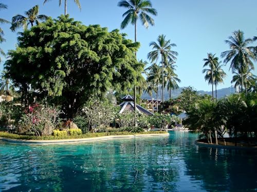 THISIT Malen nach Zahlen für Erwachsene und Kinder,Park, Phuket, Thailand-16 x 20 Zoll Ohne Rahmen THISIT Malen nach Zahlen für Erwachsene und Kinder,Park, Phuket, Thailand-16 x 20 Zoll Ohne Rahmen von THISIT
