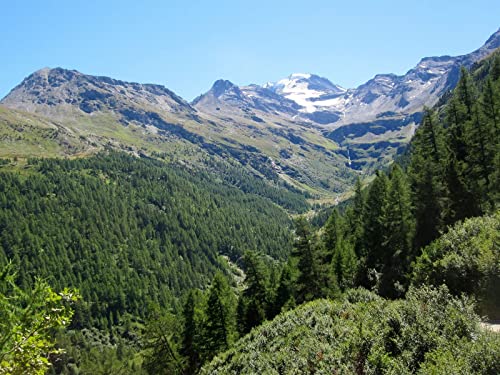 THISIT Malen nach Zahlen für Erwachsene und Kinder,Schweiz,Alpen,Berge-40 * 50cm Ohne Rahmen THISIT Malen nach Zahlen für Erwachsene und Kinder,Schweiz,Alpen,Berge-40 * 50cm Ohne Rahmen von THISIT