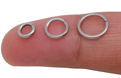 THREENEST 750 Edelstahl-Binderinge, geschlossen, ungelötet, geteilt, rund, Metallringe für Halsketten, Armbänder, Ohrringe, Schlüsselanhänger, Schmuckherstellung (6 mm, 8 mm, 10 mm, 16 Gauge AWG, 1,2 THREENEST 750 Edelstahl-Binderinge, geschlossen, ungelötet, geteilt, rund, Metallringe für Halsketten, Armbänder, Ohrringe, Schlüsselanhänger, Schmuckherstellung (6 mm, 8 mm, 10 mm, 16 Gauge AWG, 1,2 von THREENEST
