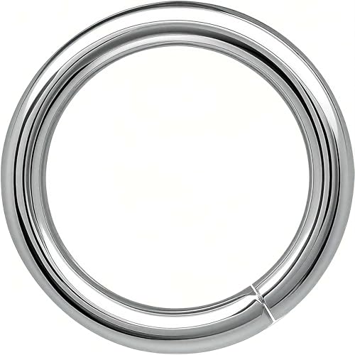 THREENEST 500 Stück Edelstahl-Binderinge, geschlossen, ungeschweißt, rund, stark, dick, Bastelring für Halskette, Armband, Schlüsselanhänger, Kettennetz, Schmuckherstellung, 8 mm _ 1,2 mm Dicke, 16 THREENEST 500 Stück Edelstahl-Binderinge, geschlossen, ungeschweißt, rund, stark, dick, Bastelring für Halskette, Armband, Schlüsselanhänger, Kettennetz, Schmuckherstellung, 8 mm _ 1,2 mm Dicke, 16 von THREENEST