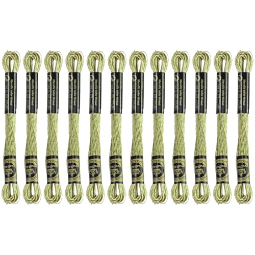 Stickgarn, 12 Knäuel, dunkles Khaki, metallisches Stickgarn, Polyester, Kreuzstichfäden für Handstickerei, String-Kunst, DIY-Kreation von TIBOO DAY