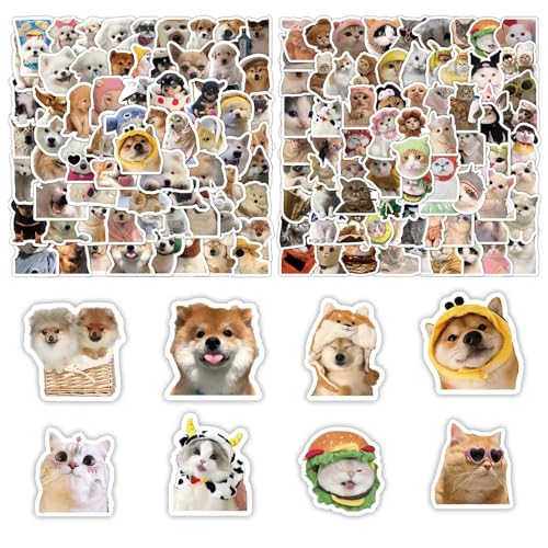 TICKLELY 200 Stück Lustige Meme Sticker Set - Katzen & Hunde Aufkleber für Auto, Laptop, Skateboard, Motorrad - Coole & Wasserdicht für Erwachsene für DIY-Dekoration und Geschenk von TICKLELY