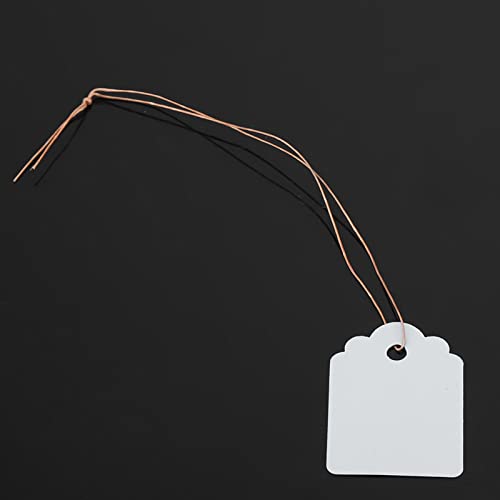 TIKATARER Pflanzen -Tag, 200pcs Wiederverwendbare Pflanzenbezeichnungen Etiketten mit Saitenpflanzetiketten für Innenpflanzen Pflanzen Marker Plastikgartenschilder Gartenmarkierungen (WHITE) von TIKATARER