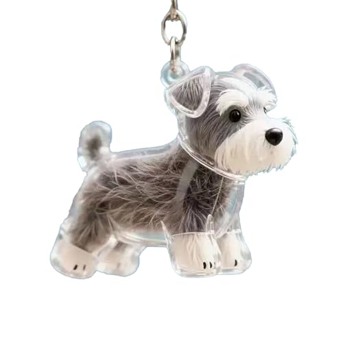 Hundehaarsammler-Schlüsselanhänger, Gedenkbox, Schlüsselanhänger zum Sammeln von Hundehaaren, Mini-Haustiere (B) von TIMIFUN