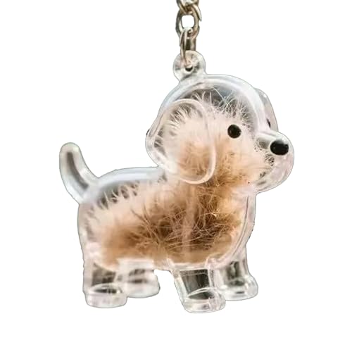 Hundehaarsammler-Schlüsselanhänger, Gedenkbox, Schlüsselanhänger zum Sammeln von Hundehaaren, Mini-Haustiere (C) von TIMIFUN