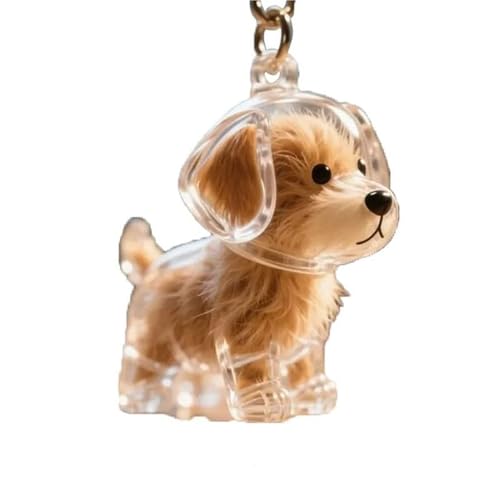 Hundehaarsammler-Schlüsselanhänger, Gedenkbox, Schlüsselanhänger zum Sammeln von Hundehaaren, Mini-Haustiere (D) von TIMIFUN