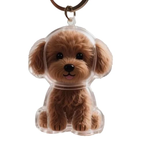 Hundehaarsammler-Schlüsselanhänger, Gedenkbox, Schlüsselanhänger zum Sammeln von Hundehaaren, Mini-Haustiere (E) von TIMIFUN