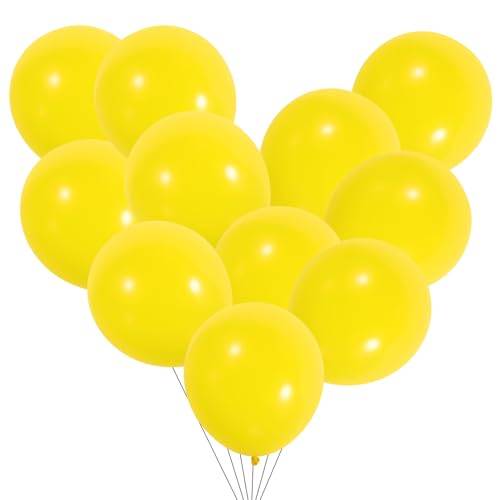 TINEASUR 100 Stücke Ballon Dekorationen Indoor Geburtstag Party Dekorationen Party Liefert Foto Prop Geburtstag Dekorationen TINEASUR 100 Stücke Ballon Dekorationen Indoor Geburtstag Party Dekorationen Party Liefert Foto Prop Geburtstag Dekorationen von TINEASUR