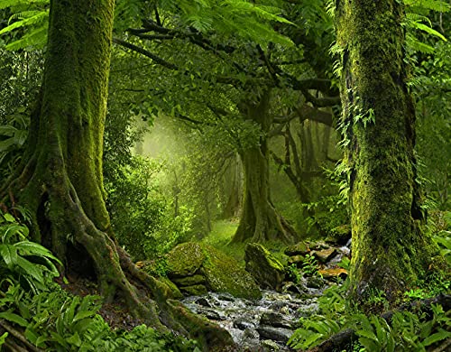 TISAGUER DIY 5D Diamant Malerei Kit,Grüner Wald Nepal Dschungel mit Fluss Wunderschöner Regenwald Uralte Landschaft,Kristall Diamond Painting Kunst Handwerksbedarf für Wohnzimmer Wand Deko 16x20inch TISAGUER DIY 5D Diamant Malerei Kit,Grüner Wald Nepal Dschungel mit Fluss Wunderschöner Regenwald Uralte Landschaft,Kristall Diamond Painting Kunst Handwerksbedarf für Wohnzimmer Wand Deko 16x20inch von TISAGUER