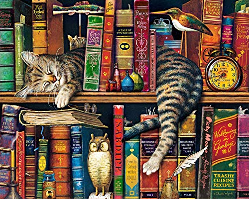 TISHIRON DIY Katzen und Bücher Malen Nach Zahlen, Erwachsene, Acrylmalset mit Pinsel und Acrylpigment Ölgemälde für Freunde Familie 16 x 20 inches von TISHIRON