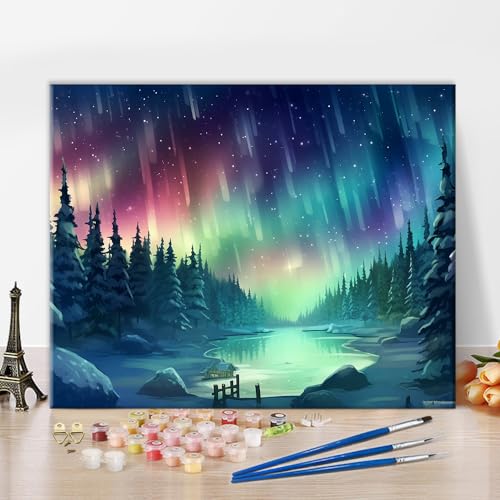 Nordlichter Malen nach Zahlen Grün Ölmalerei Malen nach Zahlen für Erwachsene Anfänger Aurora Borealis DIY Ölmalerei Kit für Erwachsene mit Pinseln und Acryl Pigment Handwerk Wanddekoration 16x20inch von TISHIRON