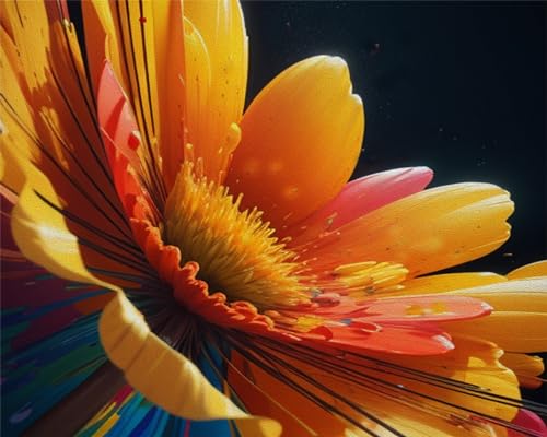 Pflanzen Malen nach Zahlen Erwachsene, Gelbe rote Blumen Malen nach Zahlen, Malen nach Zahlen de Pinsel und Acrylfarbe, 16X20 Inch Blumen Flammen Malen nach Zahlen Erwachsene Familie und Freundes Pflanzen Malen nach Zahlen Erwachsene, Gelbe rote Blumen Malen nach Zahlen, Malen nach Zahlen de Pinsel und Acrylfarbe, 16X20 Inch Blumen Flammen Malen nach Zahlen Erwachsene Familie und Freundes von TISHIRON