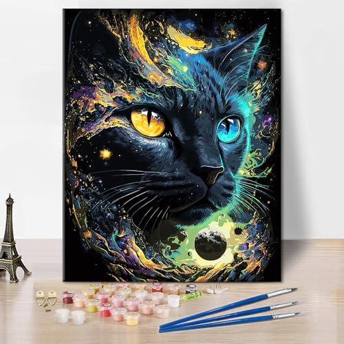 Schwarz-Weiß Malen nach Zahlen Kits Schwarze Katze Malen nach Zahlen Kunstwerk DIY Abstrakte Weltraum-Malerei Herren Damen Malen nach Zahlen Geschenke für Der salon Schlafzimmerdekoration 16x20 Zoll Schwarz-Weiß Malen nach Zahlen Kits Schwarze Katze Malen nach Zahlen Kunstwerk DIY Abstrakte Weltraum-Malerei Herren Damen Malen nach Zahlen Geschenke für Der salon Schlafzimmerdekoration 16x20 Zoll von TISHIRON