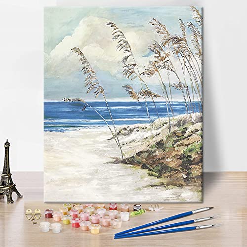 Strand Abstrakt Erwachsene Malen nach Zahlen, Ozean Sand Dünen Gras DIY Malen nach Zahlen für Erwachsene, 16"X20" moderne Küste Natur Reed Botanical Seascape Malen nach Zahlen Kunsthandwerk für Home von TISHIRON