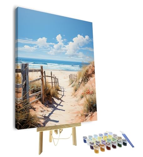 Strand Malen nach Zahlen für Erwachsene Zaun Malen nach Zahlen Kit für Erwachsene Landschaft Acryl Malen nach Zahlen Kits auf Leinwand Seaside Ölgemälde für Geschenk Home Wall Decor 16 "x20"(gerahmt) von TISHIRON