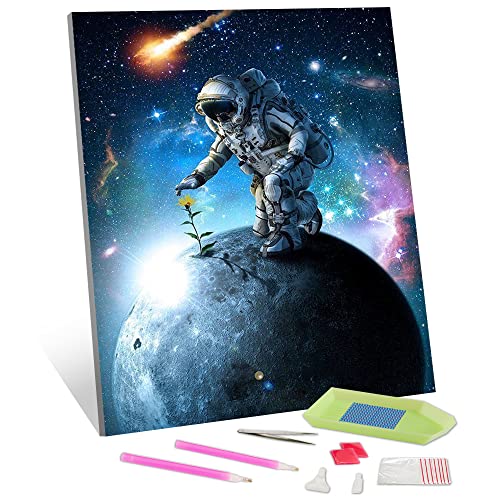 TISHIRON Astronaut Diamond Painting Kits für Erwachsene Raum und Blume DIY Diamond Art Kits für Erwachsene Teens 5D Full Round Drill Gem Painting Kit Craft Art Kits für Erwachsene 12 X 16 Zoll von TISHIRON