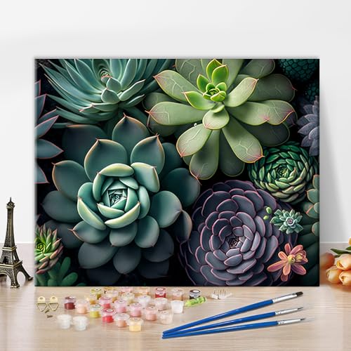TISHIRON DIY Malen nach Zahlen für Erwachsene Anfänger, Hauspflanzen Sukkulenten Top-Ansicht Farbtafel für Anfänger, Pflanzen Sukkulenten Wasserfarben Farbtafel, für Dekoration 16x20 Zoll TISHIRON DIY Malen nach Zahlen für Erwachsene Anfänger, Hauspflanzen Sukkulenten Top-Ansicht Farbtafel für Anfänger, Pflanzen Sukkulenten Wasserfarben Farbtafel, für Dekoration 16x20 Zoll von TISHIRON