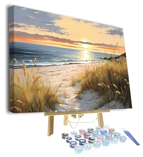 TISHIRON Gemälde von Hand Malen nach Zahlen Erwachsene Malsets für Erwachsene mit Pinseln Sonnenuntergang am Meer Malen nach Zahlen auf Leinwand Acryl Pigment Kunsthandwerk 16x20inch mit Rahmen von TISHIRON