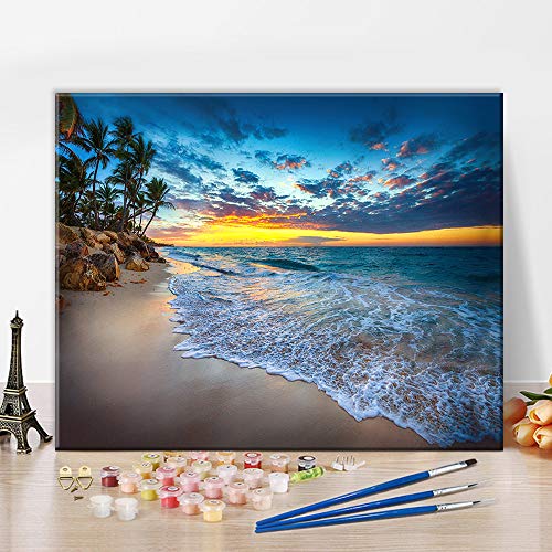 TISHIRON Malen Nach Zahlen Karibischer Strand Malen Nach Zahlen Eigenes Bild Wolkengebilde am Meer Malen Nach Zahlen Erwachsene DIY Arts Craft für Home Wall Decor (16x20 Zoll, Rahmenlos) von TISHIRON