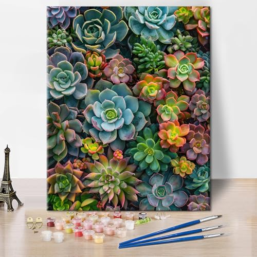 TISHIRON Malen Nach Zahlen Set für Erwachsene Schöne Sukkulenten Pflanzen DIY Malen Nach Zahlen Set auf Leinwand künstlerischer botanischer Hintergrund Ölmalerei Kunsthandwerk 40x50 cm von TISHIRON