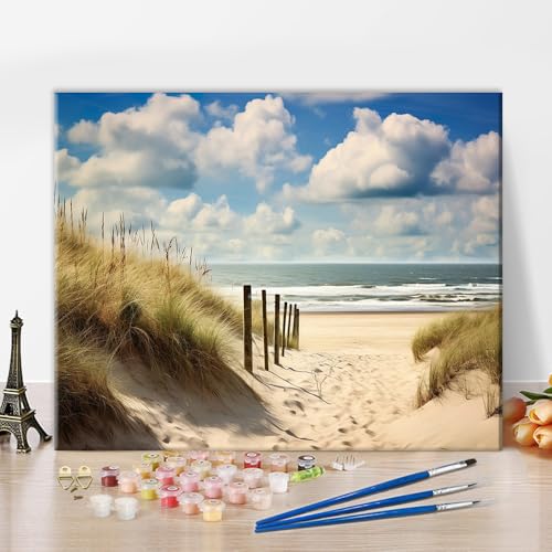 TISHIRON Malen Nach Zahlen Set für Erwachsene Strand Sonniger Tag an der Dünenküste Nordsee abstraktes Erwachsenen Malen Nach Zahlen Set Sonnenuntergang Ölmalerei Kunsthandwerk 40x50 cm von TISHIRON