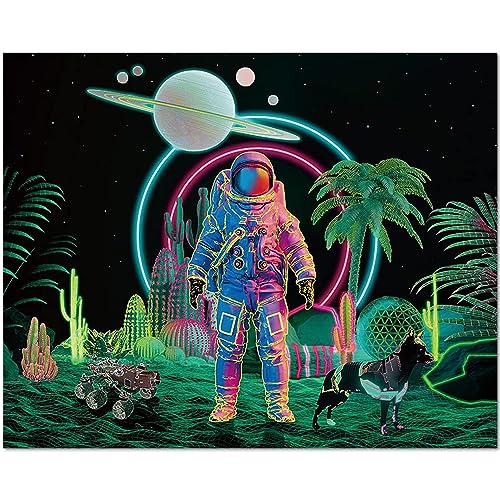 TISHIRON Malen nach Zahlen, Astronaut Malen nach Zahlen für Erwachsene Anfänger, Kaktus Blumen Pflanze Planet Malen nach Zahlen Kit mit 3 Größe Pinsel und Acryl-Pigment, 16 "x20 (rahmenlos) von TISHIRON