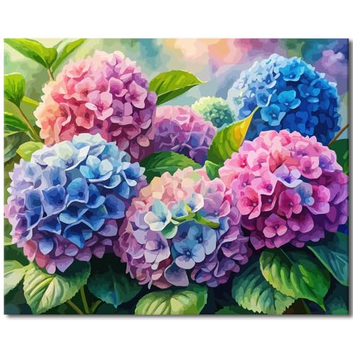 TISHIRON Malen nach Zahlen Erwachsene, Malen für Erwachsene, Aquarell Hortensien Blumendeko, Florale Blüten Kunst, Painting by Numbers Adult - 16x20 inch von TISHIRON