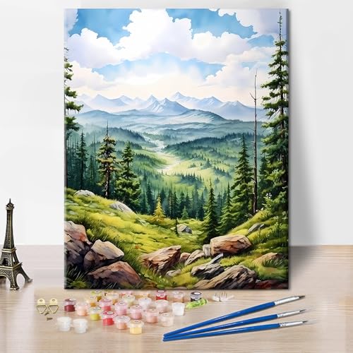 TISHIRON Malen nach Zahlen Erwachsene Berge DIY Malen nach Zahlen für Erwachsene Abstrakte Landschaft Malen nach Zahlen Kit für Erwachsene Acrylmalerei Kits 40 x 50 cm(rahmenlos) von TISHIRON