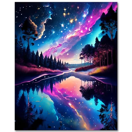 TISHIRON Malen nach Zahlen Erwachsene Nachtlandschaft DIY Malen nach Zahlen Kits mit Pinseln Aurora Sternenhimmel Öl Handmalerei Kunsthandwerk für Zuhause 40 x 50 cm(rahmenlos) von TISHIRON