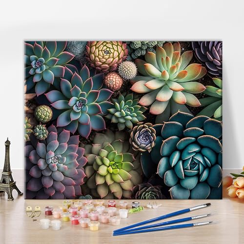 TISHIRON Malen nach Zahlen Erwachsene Sukkulent Malen nach Zahlen Kits Pflanzen Öl Hand Malerei mit Pinseln Malerei Kits Erwachsene Kunsthandwerk für Zuhause, 40x50cm(Rahmenlos) von TISHIRON