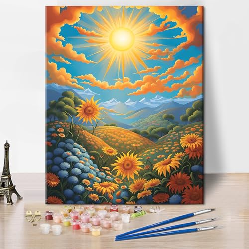 TISHIRON Malen nach Zahlen für Erwachsene Schöne Landschaft Malen nach Zahlen Kits Sonnenuntergang am Himmel mit Wolken und Lichtstrahlen Erwachsene Malen nach Zahlen Kits, 40x50 CM von TISHIRON