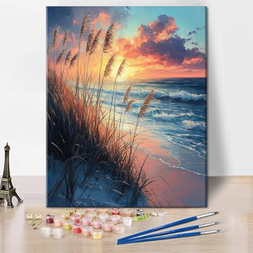 TISHIRON Strand Malen nach Zahlen für Erwachsene Anfänger,Goldener Sonnenuntergang am Strand mit Ziergräsern, Erwachsenen-Farbtafel-Set,Warmes Licht Naturbild für Flurdekoration16x20 Zoll TISHIRON Strand Malen nach Zahlen für Erwachsene Anfänger,Goldener Sonnenuntergang am Strand mit Ziergräsern, Erwachsenen-Farbtafel-Set,Warmes Licht Naturbild für Flurdekoration16x20 Zoll von TISHIRON