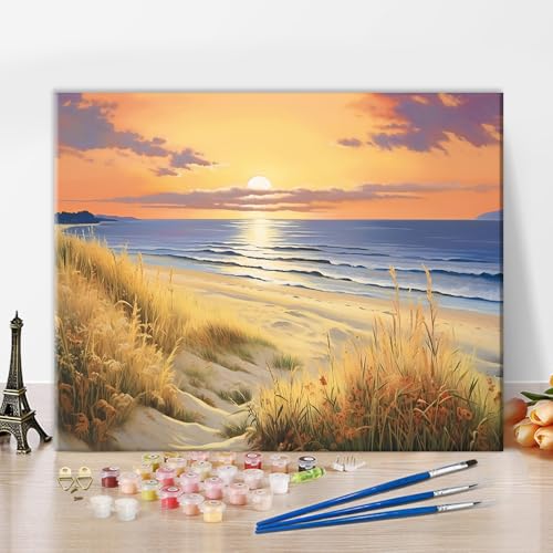 TISHIRON am Meer Malen nach Zahlen Pinseln und Acrylpigmenten, untergehende Sonne Malen nach Zahlen Kits DIY Schöne Landschaft Ölmalerei Nach Zahlen Kunsthandwerk 40x50cm von TISHIRON